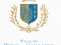 Brive la gaillarde logo 1497488063